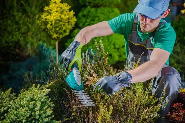 landscaping services Liberal